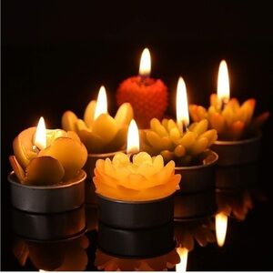 6pc Assorted Succulent Cactus Tea Light Candles Unscented